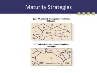 Maturity Strategies 