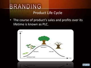 Product Life Cycle
• The course of product’s sales and profits over its
lifetime is known as PLC.
 