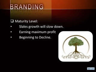  Maturity Level:
• Slales growth will slow down.
• Earning maximum profit
• Beginning to Decline.
 