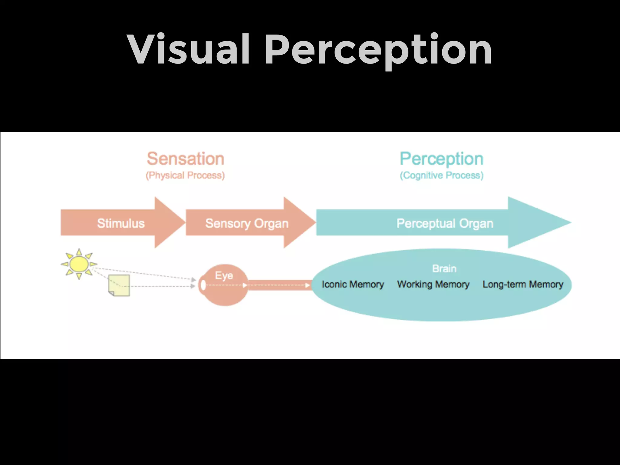Visual Perception
 