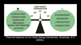 Thermal balance of our body being maintained. Szokolay, S.V.
(2004).
 