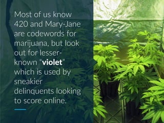 Most of us know
420 and Mary-Jane
are codewords for
marijuana, but look
out for lesser-
known “violet”
which is used by
sneakier
delinquents looking
to score online.
 