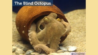 The Blind Octopus 
@OptimiseOrDie 
 