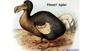 Fittest? Agile! 
@OptimiseOrDie 
 