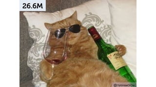 @OptimiseOrDie 
26.6M 
 