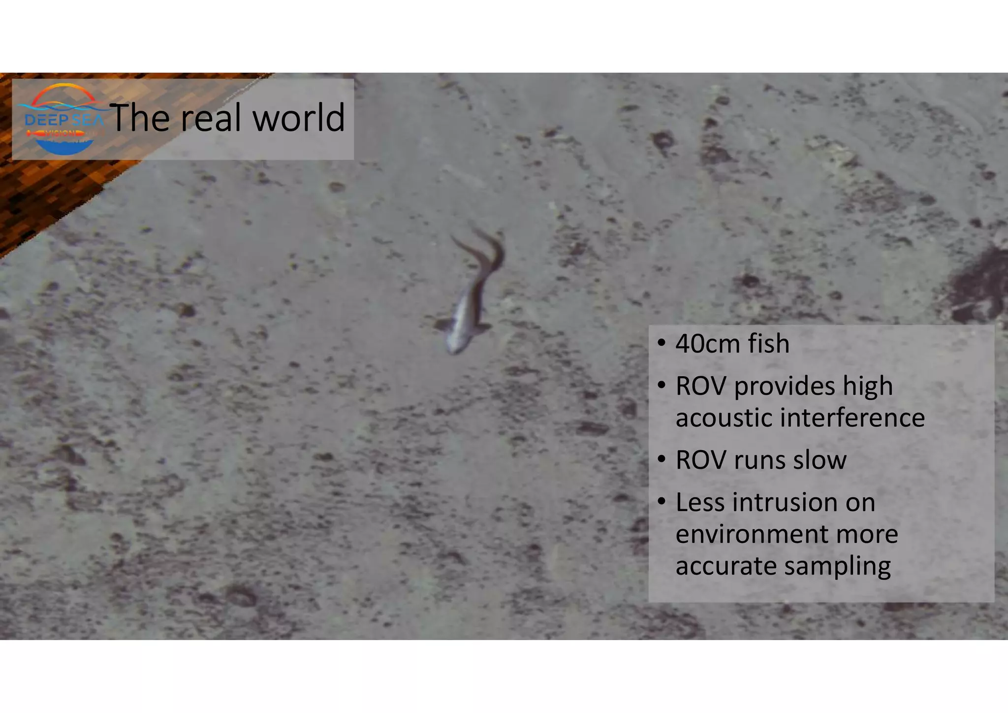 The real world
• 40cm fish
• ROV provides high
acoustic interference
• ROV runs slow
• Less intrusion on
environment more
accurate sampling
 