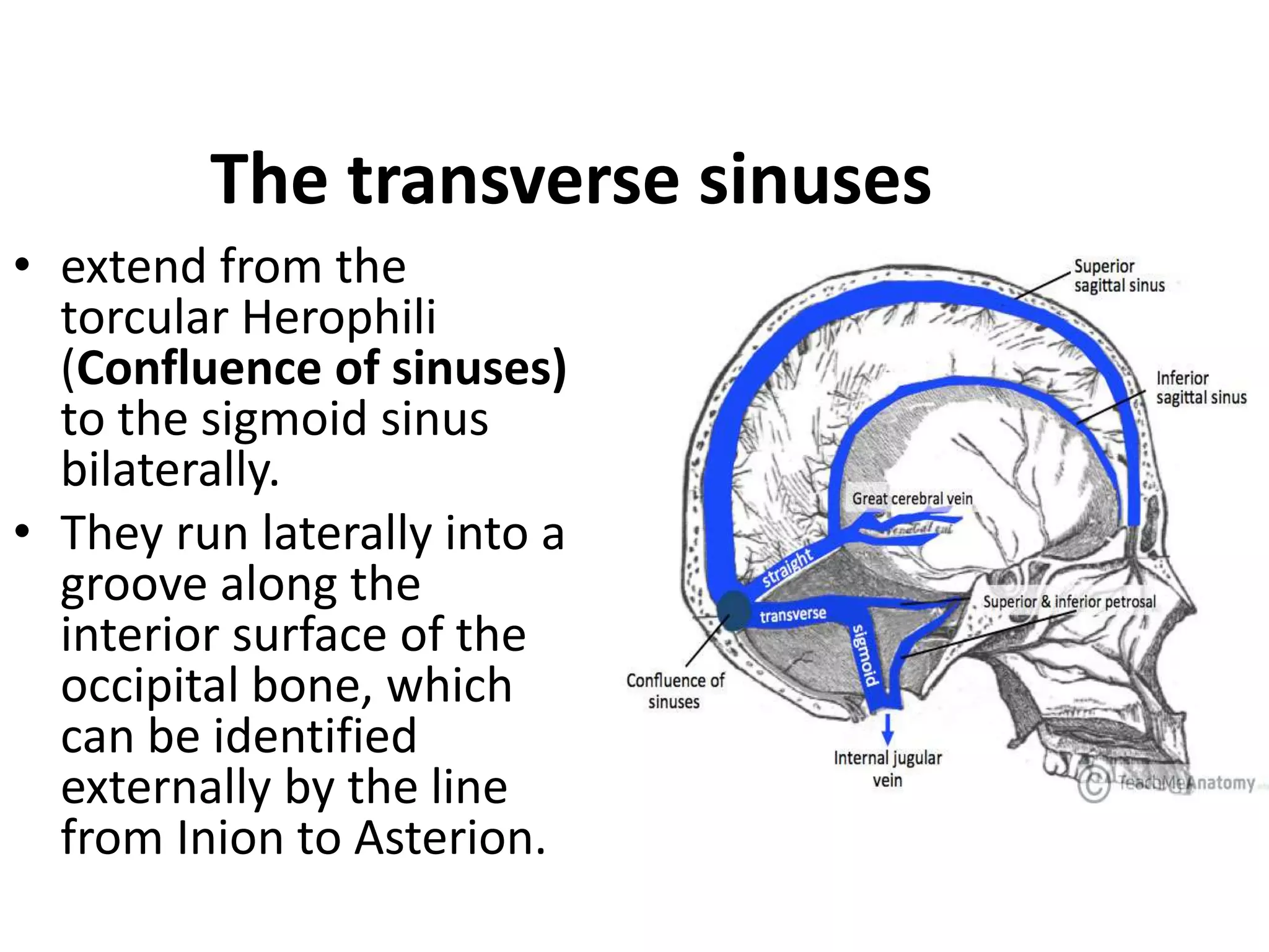 crainometric 2022.pptx