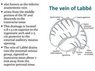 V Labbe crainometric 2022.pptx