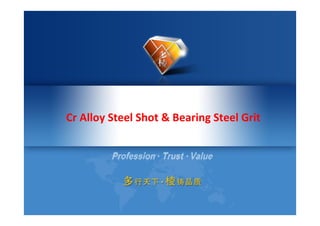 Cr Alloy Steel Shot & Bearing Steel Grit 
 