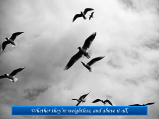 Whether they’re weightless, and above it all,
 