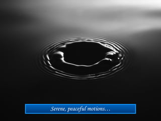 Serene, peaceful motions…
 