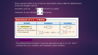 Understanding Determinants and Cramer's Rule for Solving Linear Systems ...