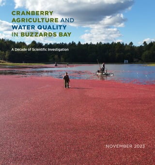 NOVEMBER 2023
CRANBERRY
AGRICULTURE AND
WATER QUALITY
IN BUZZARDS BAY
A Decade of Scientific Investigation
 