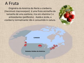 A Fruta
    Originária da América do Norte a cranberry
(Vaccinium macrocarpon) é uma fruta vermelha do
  tamanho de uma azeitona, rica em vitamina C e
    antioxidantes (polifenóis). Azeda e ácida, a
cranberry normalmante não é consumida in natura.
 
