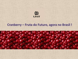 Cranberry – Fruta do Futuro, agora no Brasil !
 