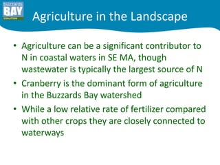 Cranberry Agriculture in the
Watershed – understanding N impacts

              Rachel W Jakuba, PhD
      Science Director, Buzzards Bay Coalition
 