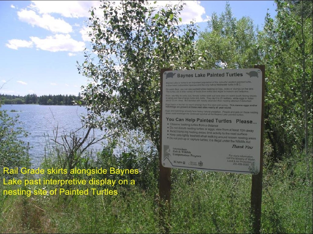 Cranbrook to Baynes Lake, BC TCT Route Proposal