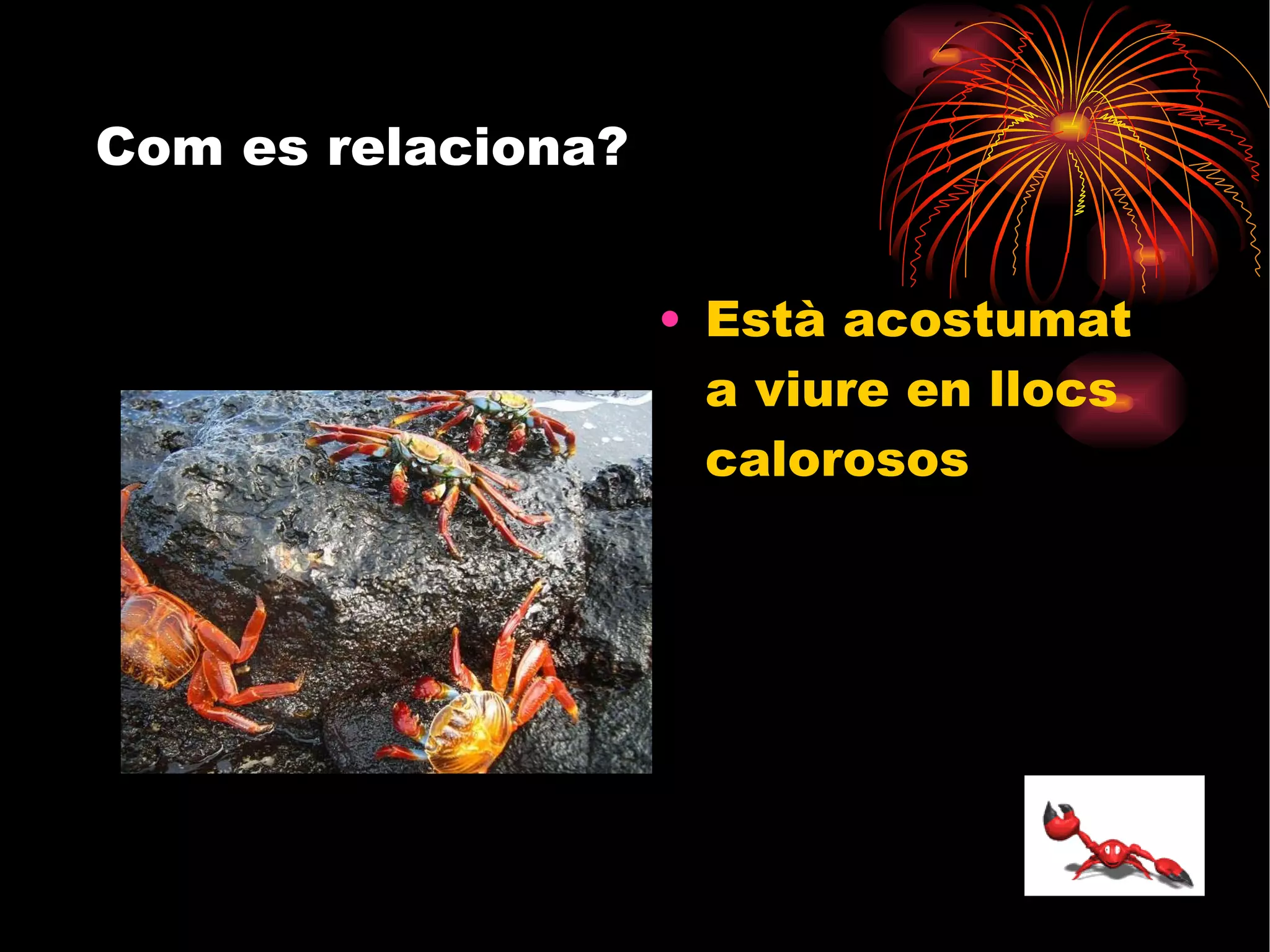 Com es relaciona? Està acostumat a viure en llocs calorosos 