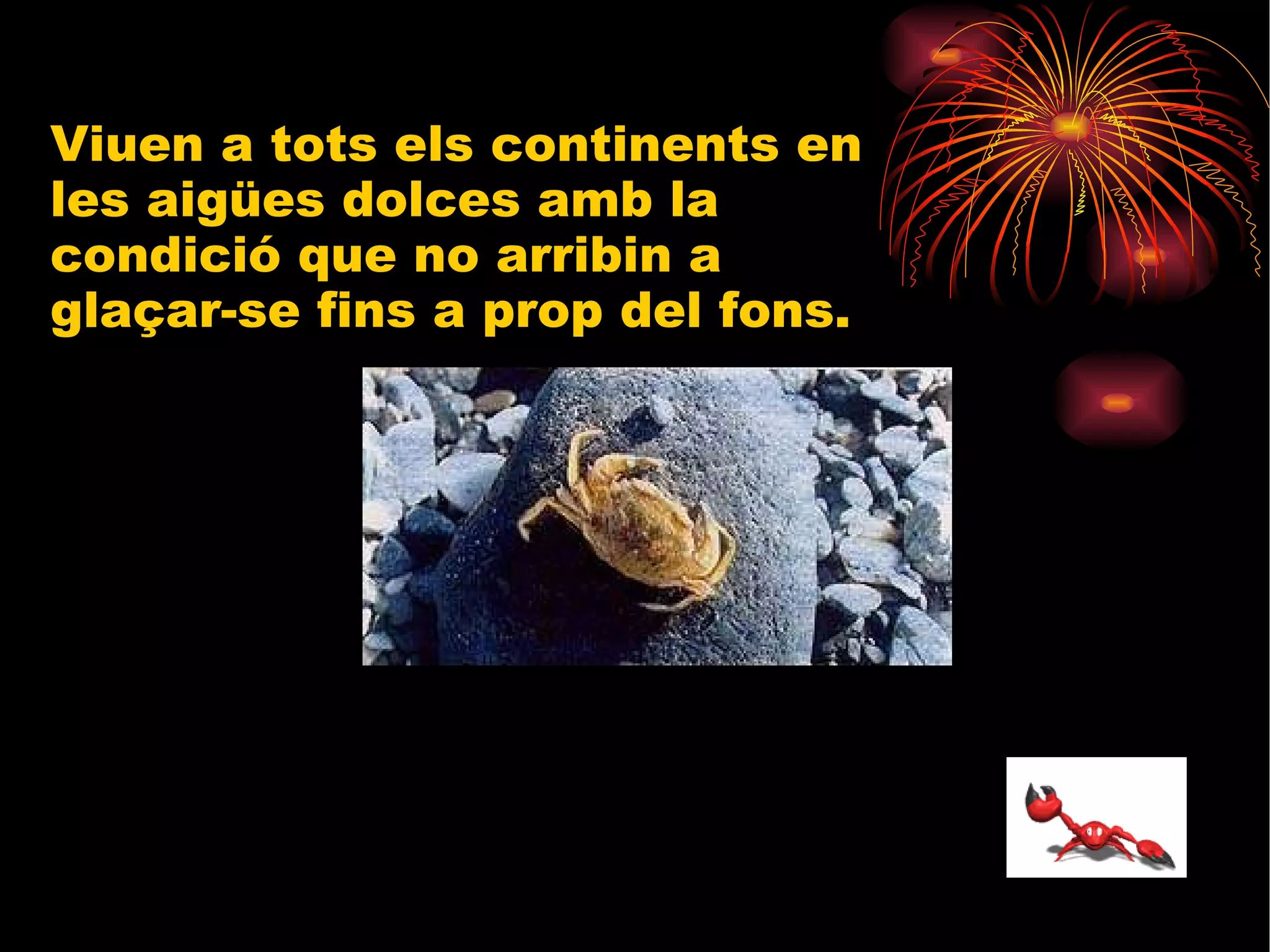 Viuen a tots els continents en les aigües dolces amb la condició que no arribin a glaçar-se fins a prop del fons. 