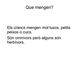 Que mengen?
● Els crancs mengen mol·luscs, petits
peixos o cucs.
● Són omnívors però alguns són
herbívors.
 