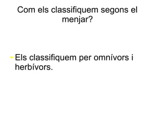 Com els classifiquem segons el
menjar?
● Els classifiquem per omnívors i
herbívors.
 