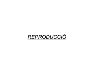 REPRODUCCIÓREPRODUCCIÓ
 
