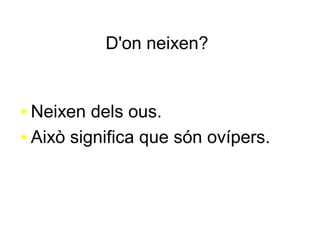 D'on neixen?
● Neixen dels ous.
● Això significa que són ovípers.
 