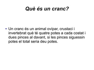 Què és un cranc?
● Un cranc és un animal ovípar, crustaci i
invertebrat què té quatre potes a cada costat i
dues pinces al davant, si les pinces siguessin
potes el total seria deu potes.
 