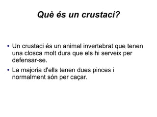 Què és un crustaci?
● Un crustaci és un animal invertebrat que tenen
una closca molt dura que els hi serveix per
defensar-se.
● La majoria d'ells tenen dues pinces i
normalment són per caçar.
 