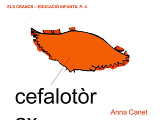 cefalotòrax 
