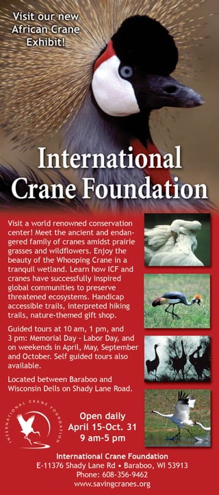 Crane Ad