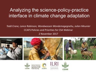 Analyzing the science policy-practice interface in climate change adaptation