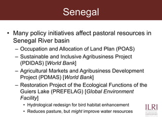 Analyzing the science policy-practice interface in climate change adaptation