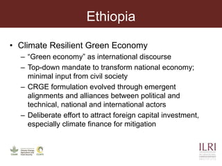 Analyzing the science policy-practice interface in climate change adaptation