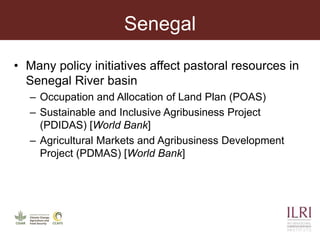 Analyzing the science policy-practice interface in climate change adaptation