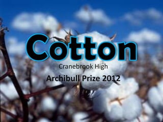 Cranebrook High
Archibull Prize 2012
 