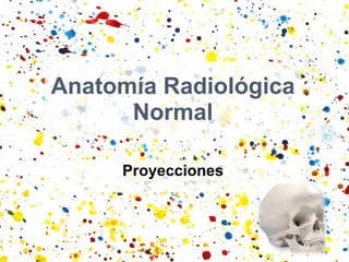 Anatomía Radiológica Normal Proyecciones 