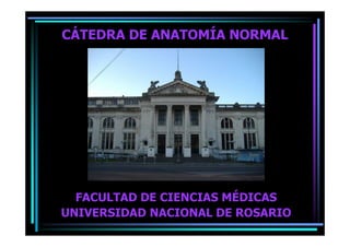 CÁTEDRA DE ANATOMÍA NORMAL




  FACULTAD DE CIENCIAS MÉDICAS
UNIVERSIDAD NACIONAL DE ROSARIO
 