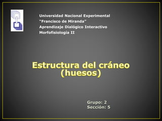 Grupo: 2
Sección: 5
Universidad Nacional Experimental
“Francisco de Miranda”
Aprendizaje Dialógico Interactivo
Morfofisiología II
 