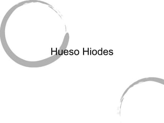Hueso Hiodes
 