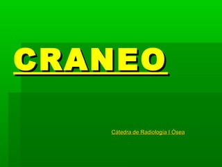 CRANEOCRANEO
Cátedra de Radiología I ÓseaCátedra de Radiología I Ósea
 