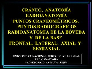 UNIVERSIDAD  NACIONAL  FEDERICO  VILLARREAL RADIOANATOMIA PROFESORA: GINA SILVA LUQUE CRÁNEO,  ANATOMÍA   RADIOANATOMÍA PUNTOS CRANEOMÉTRICOS,  PUNTOS RADIOGRÁFICOS RADIOANATOMÍA DE LA BÓVEDA Y  DE LA BASE  FRONTAL,  LATERAL,  AXIAL  Y  SEMIAXIAL 