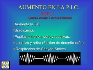 AUMENTO EN LA P.I.C. Aumenta la TA. Bradicardia.  Pupilas tamaño medio y reactivas. Localiza y retira (Flexión de decorticación). Respiración de Cheyne-Stokes. NIVEL 1 (Corteza cerebral y parte alta del tallo) 