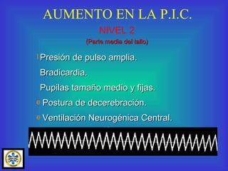 AUMENTO EN LA P.I.C. Presión de pulso amplia. Bradicardia.  Pupilas tamaño medio y fijas. Postura de decerebración. Ventilación Neurogénica Central. NIVEL 2 (Parte media del tallo) 