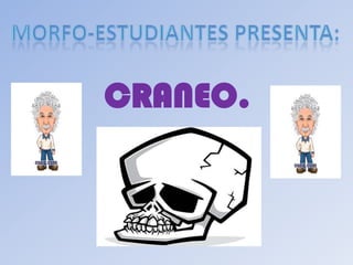 MORFO-ESTUDIANTES PRESENTA: CRANEO. 