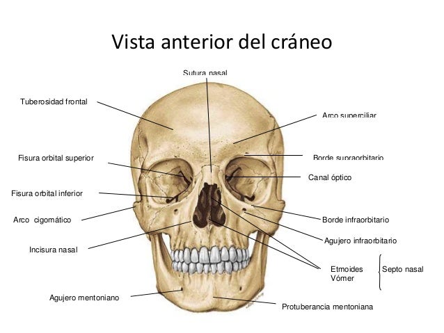 Imagen relacionada