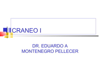 CRANEO I

     DR. EDUARDO A
  MONTENEGRO PELLECER
 