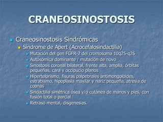 CRANEOSINOSTOSIS
   Craneosinostosis Sindrómicas
       Síndrome de Apert (Acrocefalosindactilia)
            Mutación del gen FGFR-2 del cromosoma 10q25-q26
            Autosómica dominante / mutación de novo
            Sinostosis coronal bilateral, frente alta, amplia, órbitas
             pequeñas, cara y occipucio planos
            Hipertelorismo, fisuras palpebrales antimongoloides,
             estrabismo, hipoplasia maxilar y nariz pequeña, atresia de
             coanas
            Sindactilia simétrica ósea y/o cutánea de manos y pies, con
             fusión total o parcial
            Retraso mental, disgenesias.
 