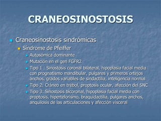 CRANEOSINOSTOSIS
   Craneosinostosis sindrómicas
       Síndrome de Pfeiffer
            Autosómica dominante
            Mutación en el gen FGFR2
            Tipo 1 : Sinostosis coronal bilateral, hipoplasia facial media
             con prognatismo mandibular, pulgares y primeros ortejos
             anchos, grados variables de sindactilia, inteligencia normal
            Tipo 2: Cráneo en trébol, proptosis ocular, afección del SNC
            Tipo 3: Sinostosis bicoronal, hipoplasia facial media con
             proptosis, hipertelorismo, braquidactilia, pulgares anchos,
             anquilosis de las articulaciones y afección visceral
 