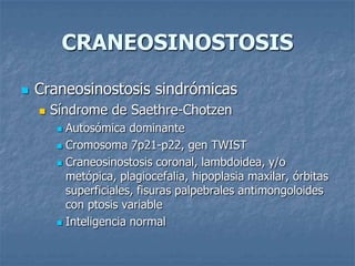 CRANEOSINOSTOSIS

   Craneosinostosis sindrómicas
       Síndrome de Saethre-Chotzen
         Autosómica dominante
         Cromosoma 7p21-p22, gen TWIST

         Craneosinostosis coronal, lambdoidea, y/o
          metópica, plagiocefalia, hipoplasia maxilar, órbitas
          superficiales, fisuras palpebrales antimongoloides
          con ptosis variable
         Inteligencia normal
 